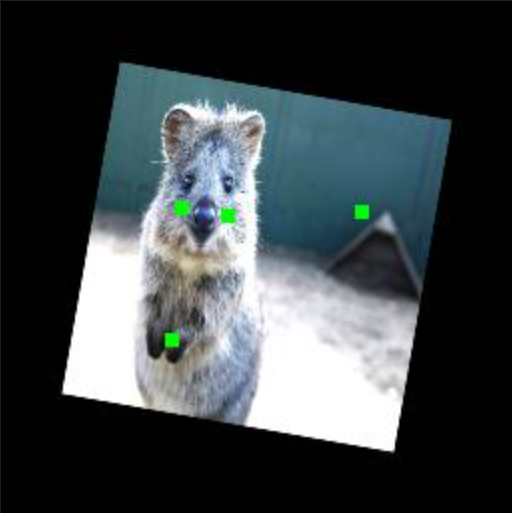 image-20230327194828320