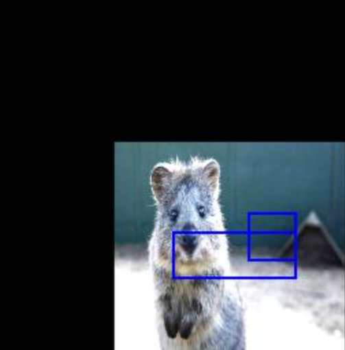 image-20230327195617180