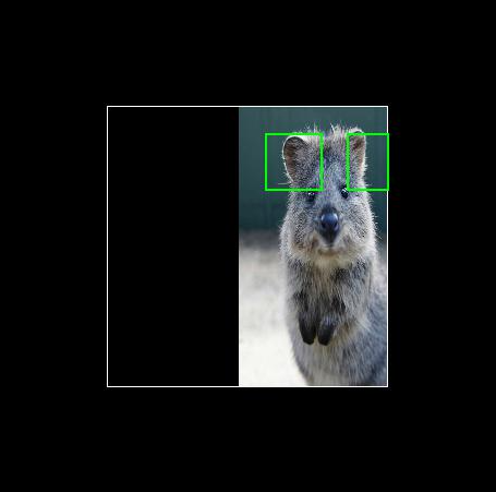 image-20230327195933428